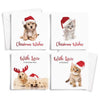 10 Square Photographic Christmas Cards Dogs and Cats