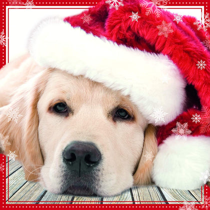 Golden Retriever Dog Wearing Santa Hat 3D Christmas Wishes Card