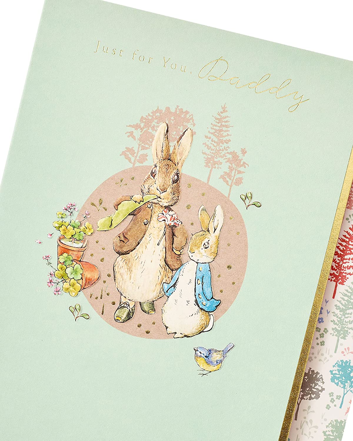 Peter Rabbit Birthday Card for Daddy – Evercarts