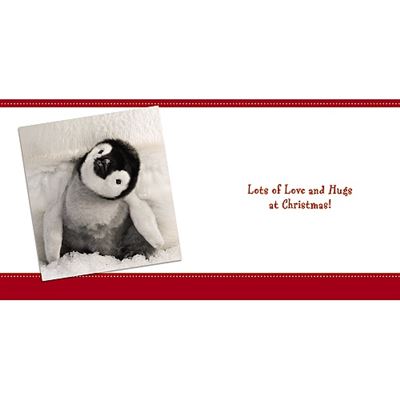 Baby King Emperor Penguin Chick 3D Merry Christmas Card