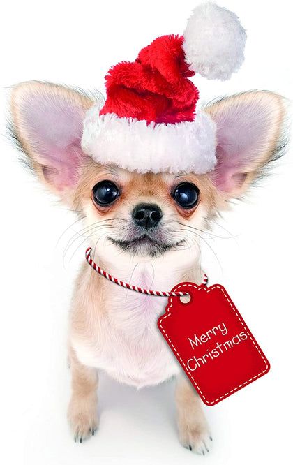 Chihuahua Dog Santa Hat & Tag Design 3D Christmas Card