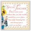 A Special Teacher Celebrity Style World's Best Magnet